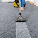 Carpet Cleaner thegem person 160 - Home Page - PL