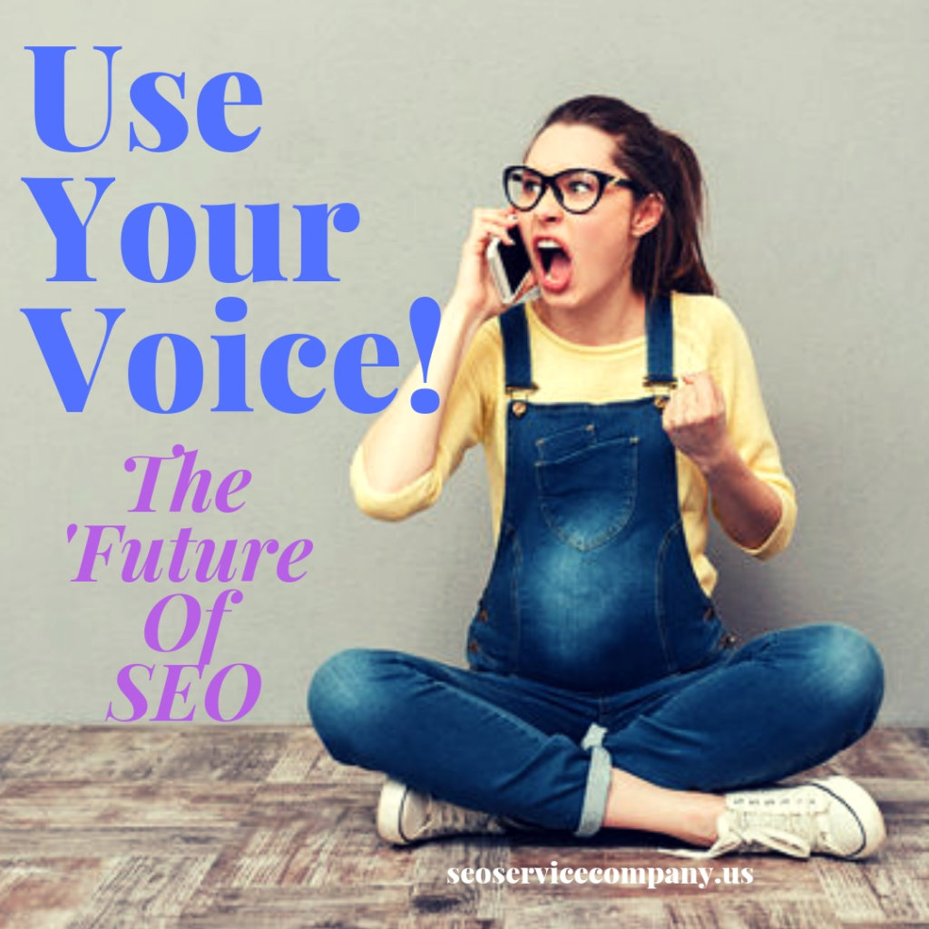 Voice Search Optimization 1024x1024 - Use Your Voice!