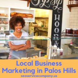 Palos Hills Local Business Marketing