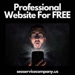 FREE Professional Website