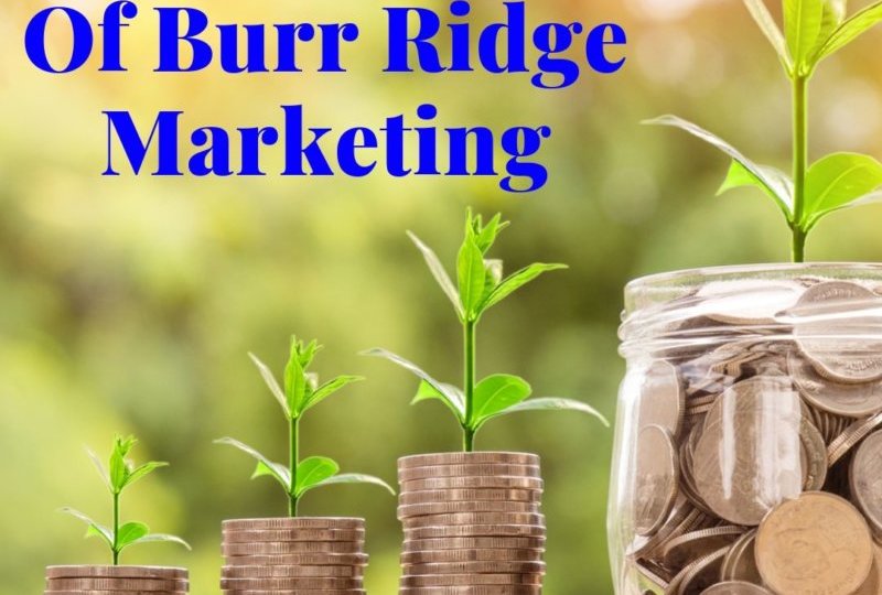Burr Ridge Marketing Agency