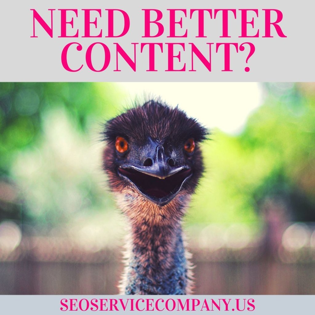 Need Better Content  1024x1024 - Need Better Content?