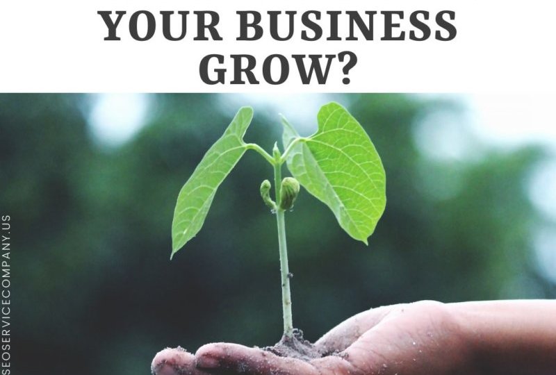 Does Digital Marketing Help Your Business Grow?