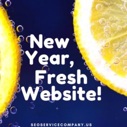 New Year, Fresh Website!