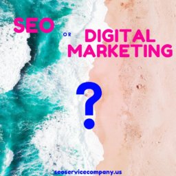 SEO or Digital Marketing?