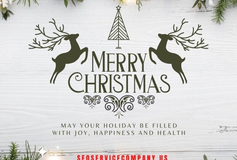 Merry Christmas TGR SEO Services e1608665251952 thegem blog default large - Hickory Hills SEO