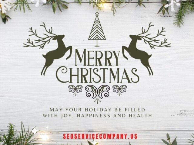 Merry Christmas TGR SEO Services e1608665251952 thegem blog justified - Website Building and Design